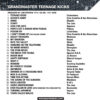 Grandmaster Teenage Kicks - Image 2